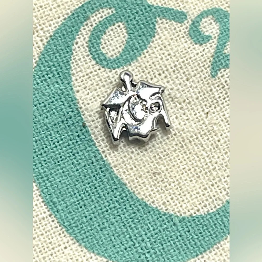 Origami Owl Living Lockets Retired HTF RN Floating Charm - Picture 2 of 2